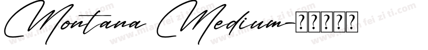 Montana Medium字体转换